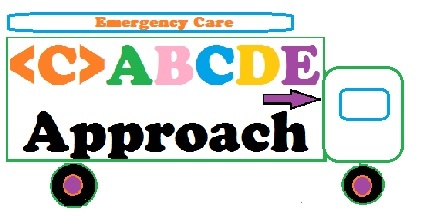 First Response and Emergency Care -  Component 1