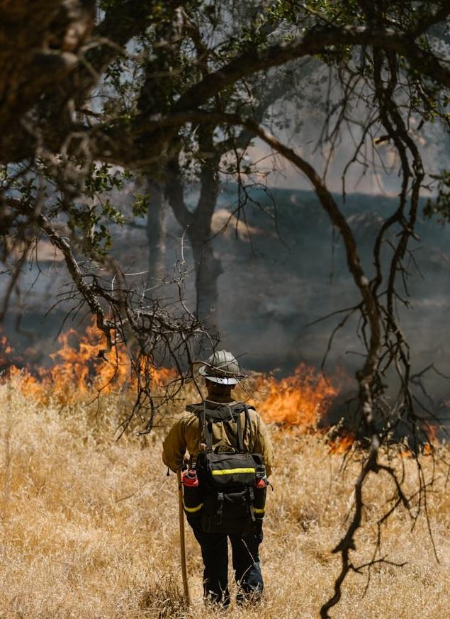 Can Forest Soils Recover from Wildfire